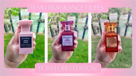 temu perfume dupes list|temu free people dupes.